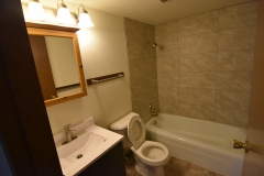CassStreetApts_Lower_Unit_2Bedroom_Bathroom1
