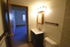 CassStreetApts_Lower_Unit_2Bedroom_Bathroom2