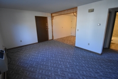 CassStreetApts_Lower_Unit_2Bedroom_LivingRoom