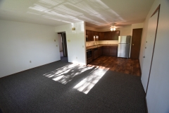 CassStreetApts_UpperUnit_Kitchen_LivingRoom
